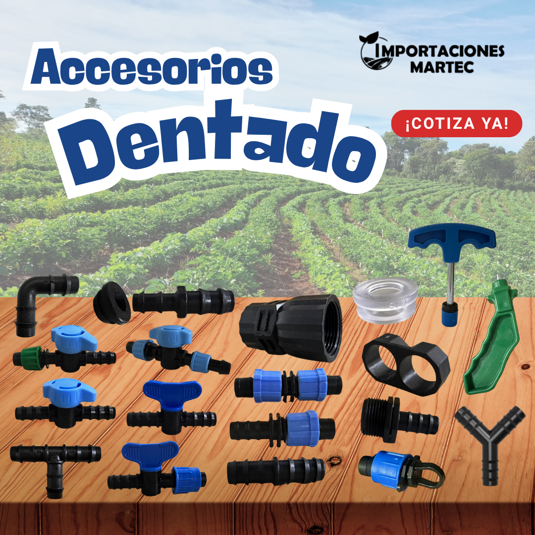 Accesorios dentados